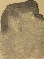 Picture 63 of 108 from A treatise on levelling, topography, and higher surveying (1876), leaf 115
