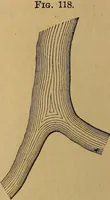 Picture 67 of 108 from A treatise on levelling, topography, and higher surveying (1876), leaf 119