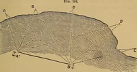 Picture 87 of 108 from A treatise on levelling, topography, and higher surveying (1876), leaf 152