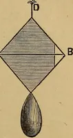 Picture 5 of 108 from A treatise on levelling, topography, and higher surveying (1876), leaf 28