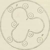 An illustration from Treatise on mills and mill work (1861)