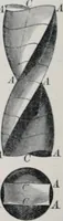 An illustration from Treatise on natural philosophy (1912)