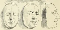 An illustration from A treatise on painting : In four parts ... The whole illustrated by examples from the Italian, Venetian, Flemish, and Dutch schools (1837)