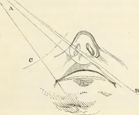 An illustration from A treatise on painting : In four parts ... The whole illustrated by examples from the Italian, Venetian, Flemish, and Dutch schools (1837)