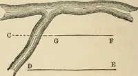 An illustration from A treatise on surveying ; in which the theory and practice are fully explained (1860)