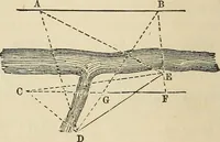 An illustration from A treatise on surveying ; in which the theory and practice are fully explained (1860)