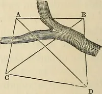 An illustration from A treatise on surveying ; in which the theory and practice are fully explained (1860)