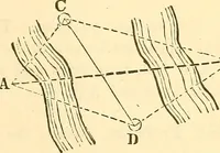 Picture 128 of 265 from A treatise on surveying, comprising the theory and the practice ; (1887), leaf 268