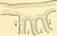 An illustration from A treatise on surveying, comprising the theory and the practice ; (1887)