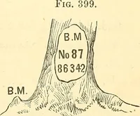 Picture 177 of 265 from A treatise on surveying, comprising the theory and the practice ; (1887), leaf 388