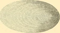 An illustration from A treatise on surveying, comprising the theory and the practice ; (1887)