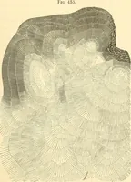 An illustration from A treatise on surveying, comprising the theory and the practice ; (1887)
