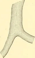 Picture 219 of 265 from A treatise on surveying, comprising the theory and the practice ; (1887), leaf 442