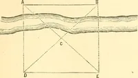 Picture 246 of 265 from A treatise on surveying, comprising the theory and the practice ; (1887), leaf 494