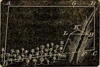 Picture 45 of 99 from A treatise on surveying and navigation: uniting the theoretical, practical, and educational features of these subjects (1857), leaf 122