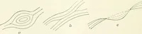 An illustration from A treatise on surveying, comprising the theory and the practice (1906)