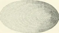 An illustration from A treatise on surveying, comprising the theory and the practice (1906)