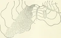 An illustration from A treatise on surveying, comprising the theory and the practice (1906)