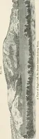 An illustration from A treatise on surveying, comprising the theory and the practice (1906)