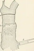 An illustration from A treatise on surveying, comprising the theory and the practice (1906)
