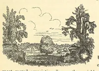 An illustration from A treatise on the theory and practice of landscape gardening, adapted to North America; with a view to the improvement of country residences. Comprising historical notices and general principles of the art, directions for laying out gardens and arranging plantations, the description and cultivation of hardy trees, decorative accompaniments to the house and grounds, the formation of pieces of artificial water, flower gardens, etc., with remarks on rural architecture (1844)