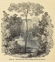 Picture 14 of 14 from A treatise on the theory and practice of landscape gardening, adapted to North America; with a view to the improvement of country residences. Comprising historical notices and general principles of the art, directions for laying out gardens and arranging plantations, the description and cultivation of hardy trees, decorative accompaniments to the house and grounds, the formation of pieces of artificial water, flower gardens, etc., with remarks on rural architecture (1844), leaf 538