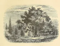 Picture 3 of 14 from A treatise on the theory and practice of landscape gardening, adapted to North America; with a view to the improvement of country residences. Comprising historical notices and general principles of the art, directions for laying out gardens and arranging plantations, the description and cultivation of hardy trees, decorative accompaniments to the house and grounds, the formation of pieces of artificial water, flower gardens, etc., with remarks on rural architecture (1844), leaf 69