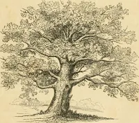 An illustration from A treatise on the theory and practice of landscape gardening, adapted to North America; with a view to the improvement of country residences. Comprising historical notices and general principles of the art, directions for laying out grounds and arranging plantations, the description and cultivation of hardy trees, decorative accompaniments to the house and grounds, the formation of pieces of artificial water, flower gardens, etc. with remarks on rural architecture .. (1841)