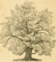 An illustration from A treatise on the theory and practice of landscape gardening, adapted to North America; with a view to the improvement of country residences. Comprising historical notices and general principles of the art, directions for laying out grounds and arranging plantations, the description and cultivation of hardy trees, decorative accompaniments to the house and grounds, the formation of pieces of artificial water, flower gardens, etc. with remarks on rural architecture .. (1841)