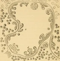 An illustration from A treatise on the theory and practice of landscape gardening, adapted to North America; with a view to the improvement of country residences. Comprising historical notices and general principles of the art, directions for laying out grounds and arranging plantations, the description and cultivation of hardy trees, decorative accompaniments to the house and grounds, the formation of pieces of artificial water, flower gardens, etc. with remarks on rural architecture .. (1841)