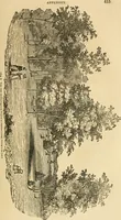An illustration from A treatise on the theory and practice of landscape gardening, adapted to North America; with a view to the improvement of country residences. Comprising historical notices and general principles of the art, directions for laying out grounds and arranging plantations, the description and cultivation of hardy trees, decorative accompaniments to the house and grounds, the formation of pieces of artificial water, flower gardens, etc. with remarks on rural architecture .. (1841)