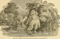 Picture 68 of 78 from A treatise on the theory and practice of landscape gardening, adapted to North America; with a view to the improvement of country residences. Comprising historical notices and general principles of the art, directions for laying out grounds and arranging plantations, the description and cultivation of hardy trees, decorative accompaniments to the house and grounds, the formation of pieces of artificial water, flower gardens, etc. with remarks on rural architecture .. (1841), leaf 446