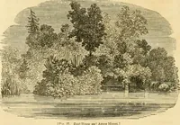 An illustration from A treatise on the theory and practice of landscape gardening, adapted to North America; with a view to the improvement of country residences. Comprising historical notices and general principles of the art, directions for laying out grounds and arranging plantations, the description and cultivation of hardy trees, decorative accompaniments to the house and grounds, the formation of pieces of artificial water, flower gardens, etc. with remarks on rural architecture .. (1841)