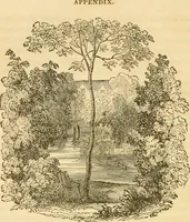 An illustration from A treatise on the theory and practice of landscape gardening, adapted to North America; with a view to the improvement of country residences. Comprising historical notices and general principles of the art, directions for laying out grounds and arranging plantations, the description and cultivation of hardy trees, decorative accompaniments to the house and grounds, the formation of pieces of artificial water, flower gardens, etc. with remarks on rural architecture .. (1841)