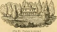 Picture 13 of 78 from A treatise on the theory and practice of landscape gardening, adapted to North America; with a view to the improvement of country residences. Comprising historical notices and general principles of the art, directions for laying out grounds and arranging plantations, the description and cultivation of hardy trees, decorative accompaniments to the house and grounds, the formation of pieces of artificial water, flower gardens, etc. with remarks on rural architecture .. (1841), leaf 95