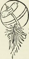 An illustration from A treatise on wood engravings : historical and practical (1881)