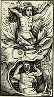 An illustration from A treatise on wood engravings : historical and practical (1881)