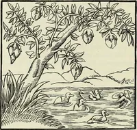 Picture 150 of 371 from A treatise on wood engravings : historical and practical (1881), leaf 439