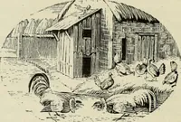 An illustration from A treatise on wood engravings : historical and practical (1881)