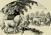 Picture 184 of 371 from A treatise on wood engravings : historical and practical (1881), leaf 505