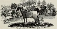 An illustration from A treatise on wood engravings : historical and practical (1881)