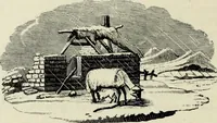 Picture 190 of 371 from A treatise on wood engravings : historical and practical (1881), leaf 513