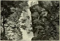 Picture 231 of 371 from A treatise on wood engravings : historical and practical (1881), leaf 565