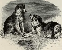 Picture 248 of 371 from A treatise on wood engravings : historical and practical (1881), leaf 576