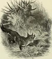 An illustration from A treatise on wood engravings : historical and practical (1881)