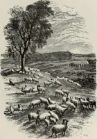 Picture 253 of 371 from A treatise on wood engravings : historical and practical (1881), leaf 580