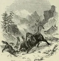 An illustration from A treatise on wood engravings : historical and practical (1881)