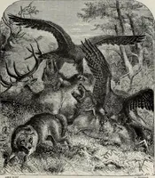 An illustration from A treatise on wood engravings : historical and practical (1881)