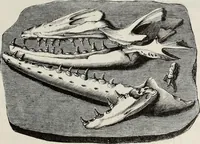An illustration from A treatise on wood engravings : historical and practical (1881)