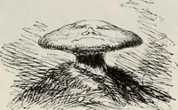 Picture 309 of 371 from A treatise on wood engravings : historical and practical (1881), leaf 620